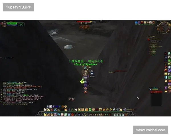 魔兽世界大脚技能指令使用攻略